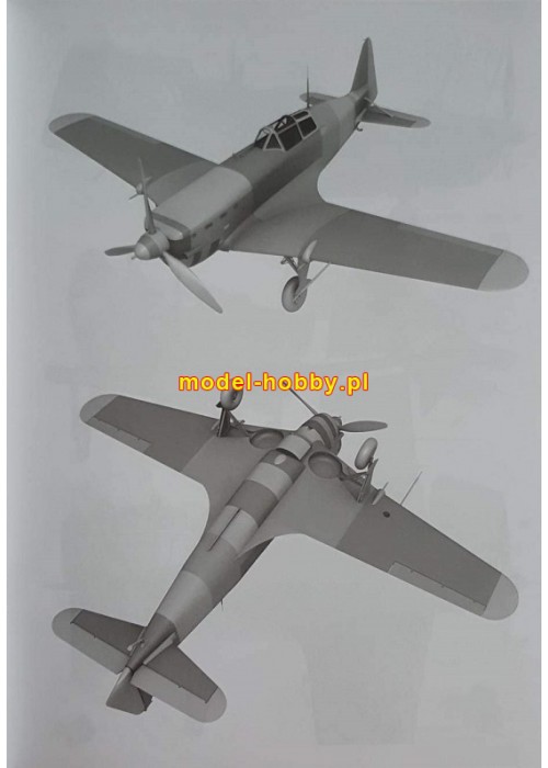 MoraneSaulnier MS.406